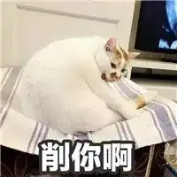 手贱翻了下男生的淘宝搜索记录,看完整个人都不好了