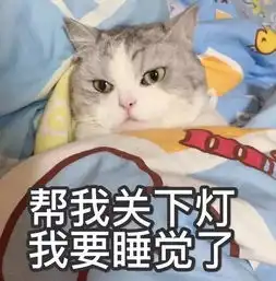 全新猫咪表情包,拿走不谢