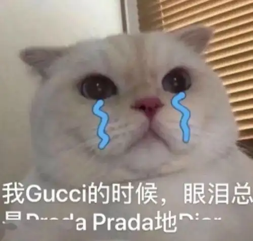 五年了,一想到他们没结婚我就生气