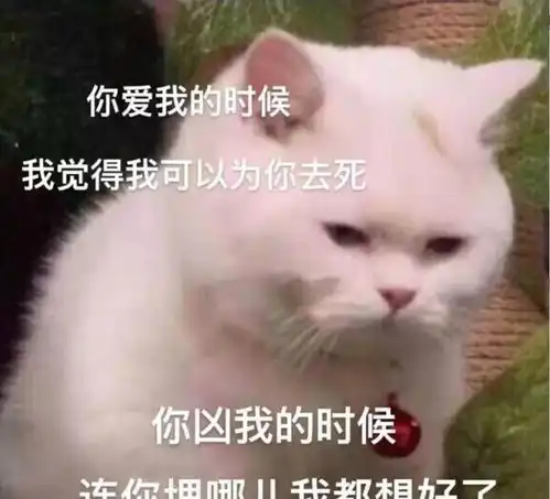 剑网三本以为无缘,谁料只是一厢情愿,无缝衔接的藏剑你有事吗