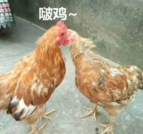 我的收藏