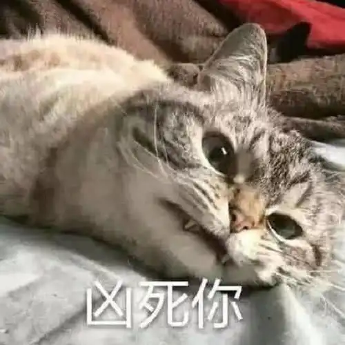斗图王者专属沙雕表情,皮到不能自主呼吸,威力伤害太大了