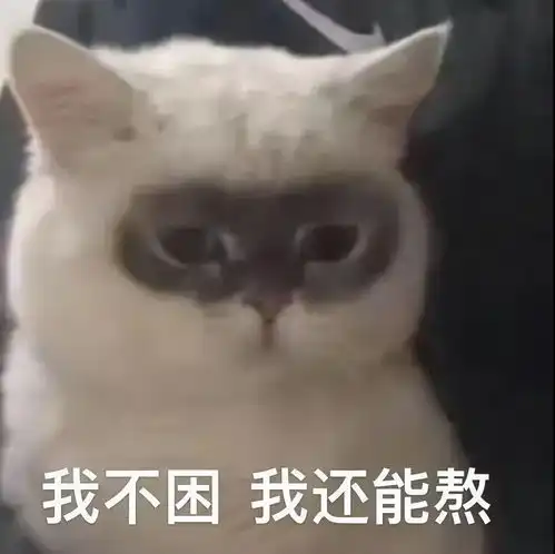 为什么自律的健身圈做医美的人反而更多