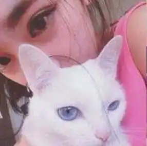 求抱着猫咪的男生和女生情侣头像
