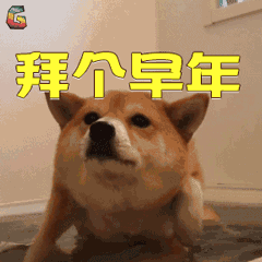 2018狗年春节祝福问候表情图片最新最全,快收好