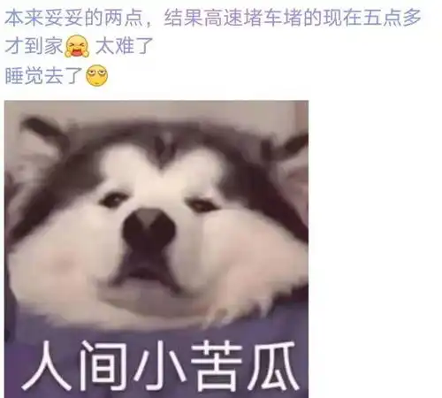 颍上男子今天返乡,高速上堵到崩溃
