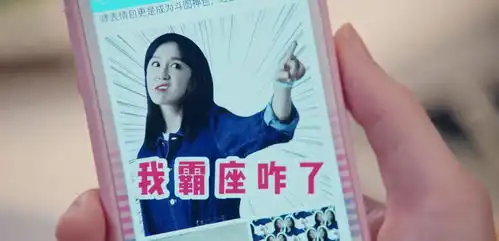 爱情公寓5胡一菲张伟等人被黑,胡一菲更是被做成了表情包
