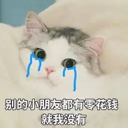 没钱了表情包猫猫