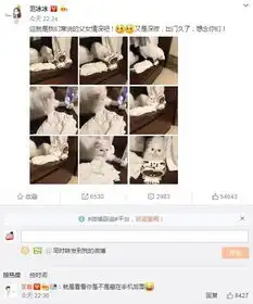 范冰冰深夜晒李晨与爱猫互动这就是父女情深
