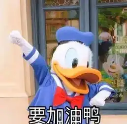 11月的尾巴阳光满满,然鹅