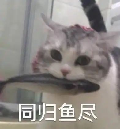 塑料友情真假难辨留学中的友谊大不同