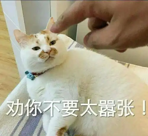 2017热词汇总,总有你不知道的梗