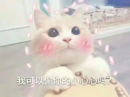 玫瑰花表情包抖音喵喵喵