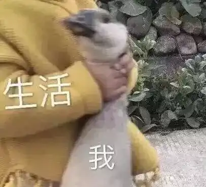 表情包可爱图片迷你暴雨