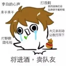 一组王者荣耀搞笑表情包英雄们的心声,李白实力卖队友