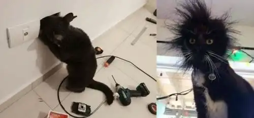 搞笑段子伸手不打笑脸人就冲他露齿一笑,结果还是把我一顿胖揍