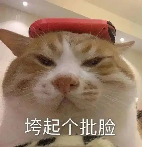 名校offervs大厂offer,哪个更值