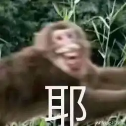 求一些魔性的图