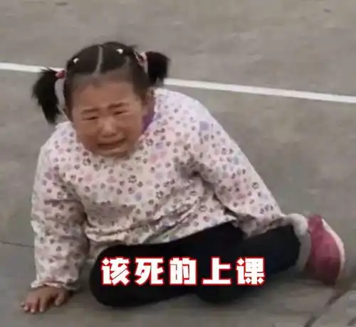 女大学生大一到大四的变化,内容过于扎心