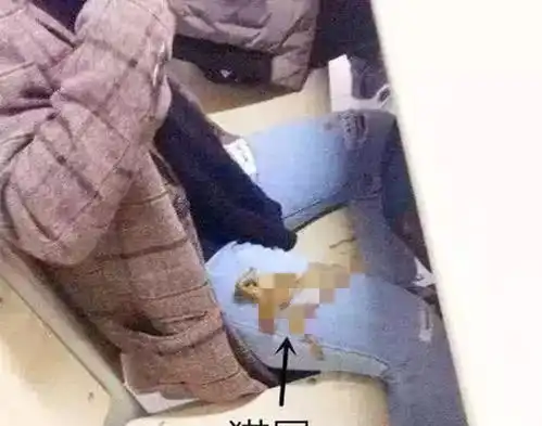男子带猫咪去上课,突然感觉腿上热乎乎的,竟是一坨新鲜的便便