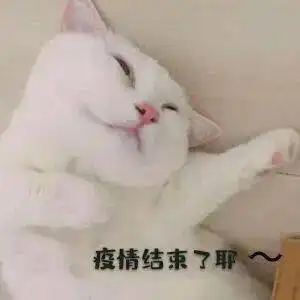 共同抗疫爱国力行抗疫表情包设计