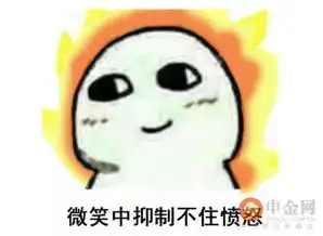 上海迪士尼不接受调解坚持翻包检查