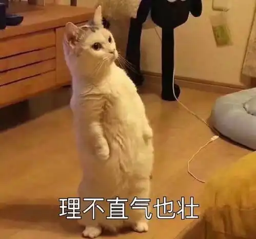 表情包我能送你回家吗