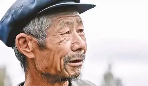 回顾大爷解手忘带纸,随手捡的树叶,竟让中国夺两项世界第一