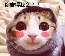 俺妹黑猫表情包猫咪