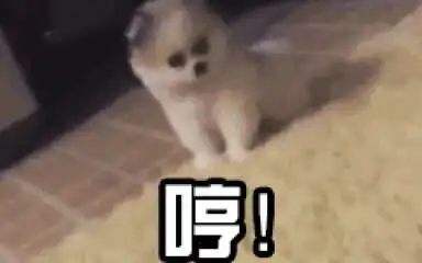 ok动图表情包狗狗