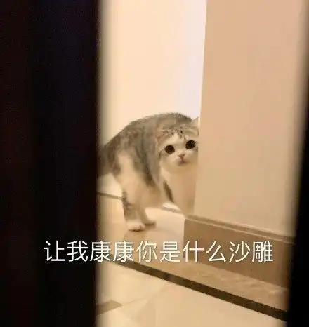 热门搞笑表情包图片洞悉一切的微笑,正在忙,一会再说