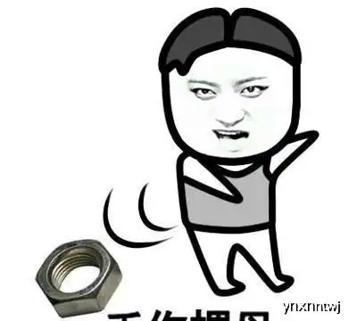 爆笑段子本人女,目前正在学驾照,之前从未开过车
