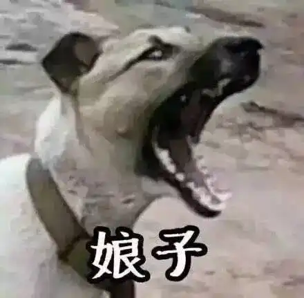 壁纸头像他需要你的时候才突然想起你