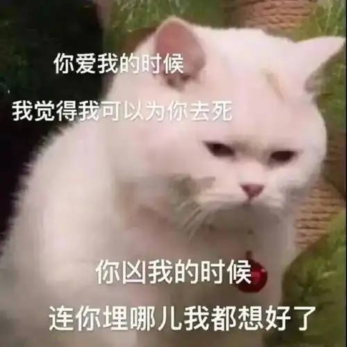 心疼你表情包微信聊天
