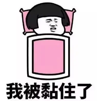 冷吗芝兰暖你啊