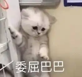 免费整形找工作先整容这都是美丽陷阱
