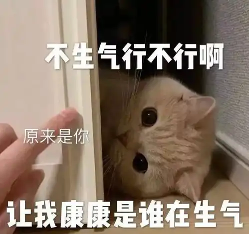 对象生气怎么哄包教包会