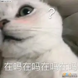 谢谢你们以后请叫我公主表情包大傻逼你在里面吗猫咪表情包下载乐游网游戏下载