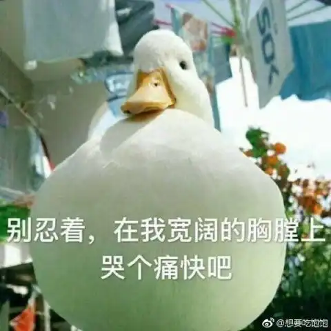 大b神脱口秀警察抓获279人网络交友诈骗,只有2个是真的女生
