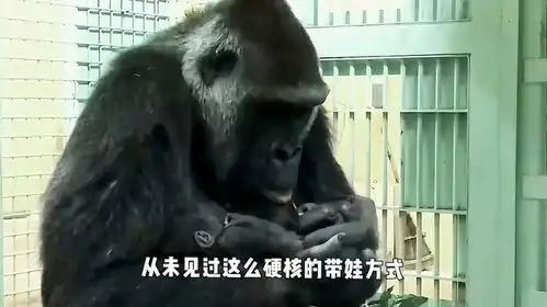 小猩猩到爸爸面前卖萌,猩猩爸爸看到后,请憋住不要笑