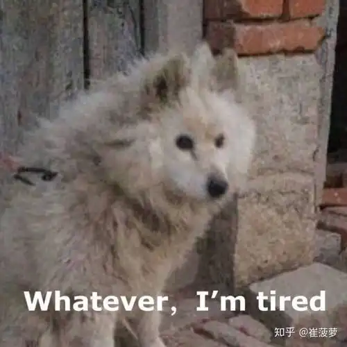 女生经历痔疮手术是怎样一种体验