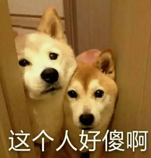 男生头像真人侧脸抱小动
