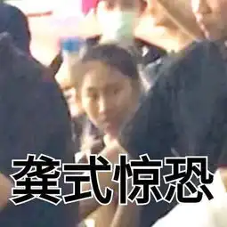 虹桥一姐成网红追星热度不减实力抢镜各大明星