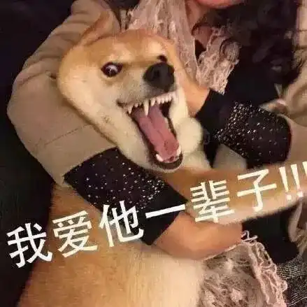 被生活所迫的表情包小朱