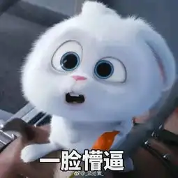 爱宠大机密的兔子表情包