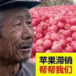 滞销帮帮我们表情包马冬