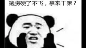 小哥酒吧内撩妹,被美女神逻辑迷惑