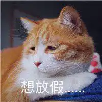 放假了飞起来搞笑图片劳资放假了高兴图片
