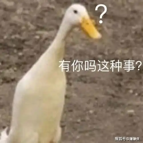 高难度表情包图片你是要讲道理还是要我