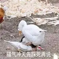 笑出鹅叫声表情包女的表